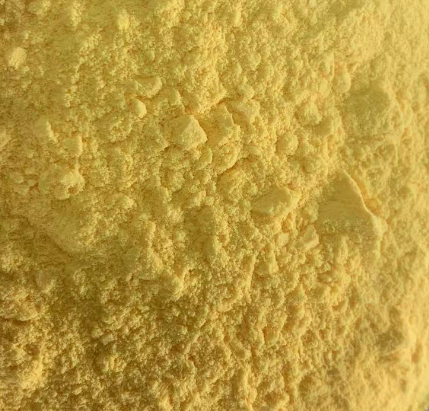 辅酶Q10