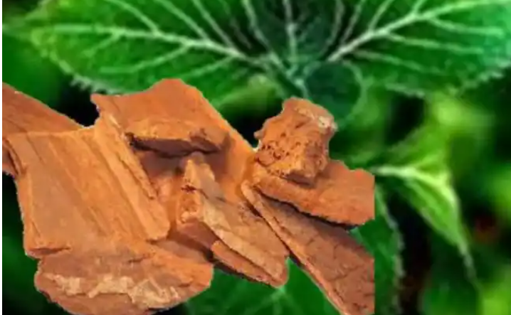 盐酸育亨宾
